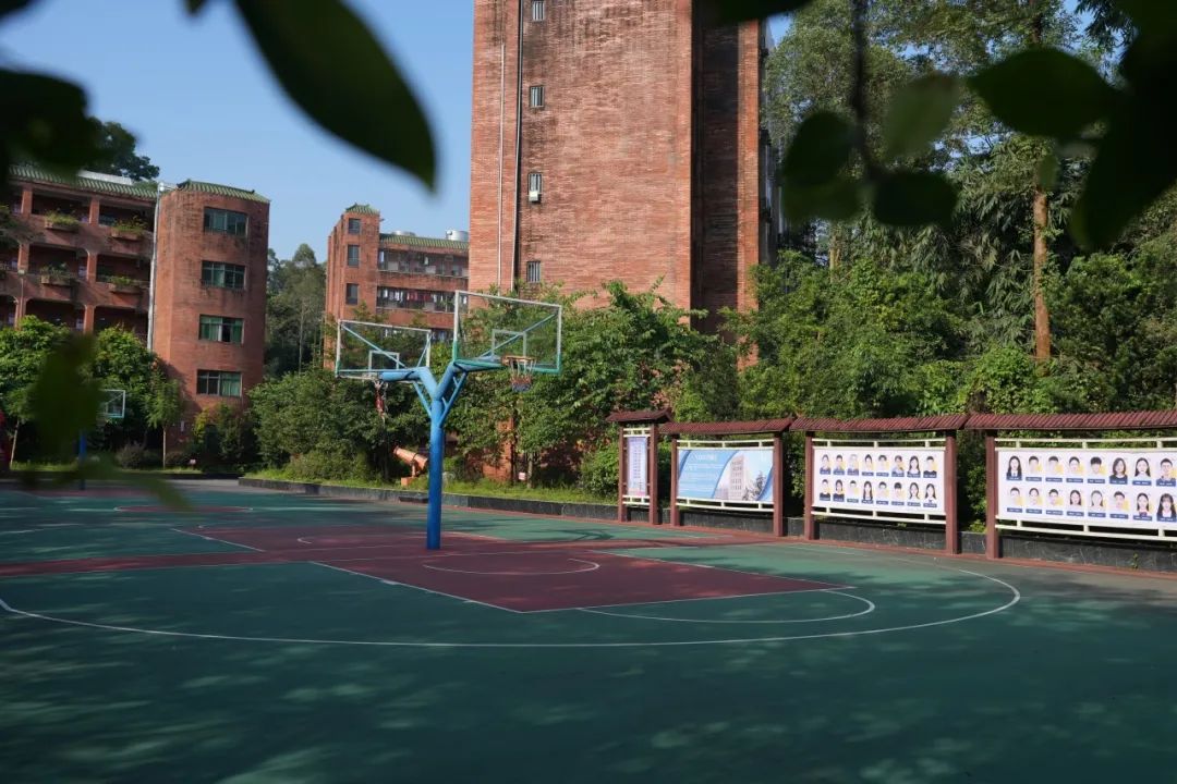 广州985、211大学名单